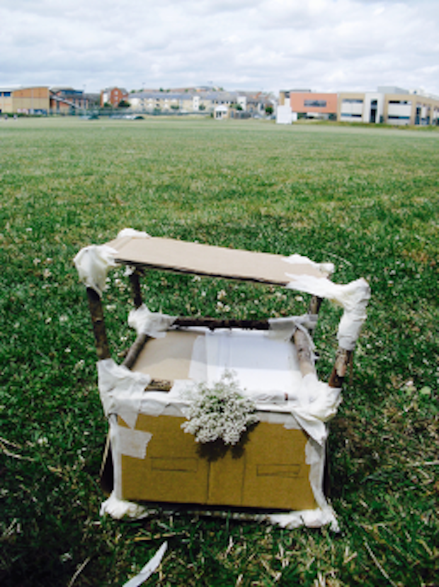 Artscaping as transition support | Cambridge Curiosity and Imagination