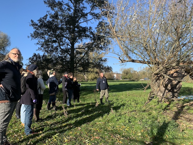 Veteran Tree Walk