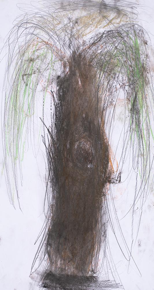 drawing of black tree