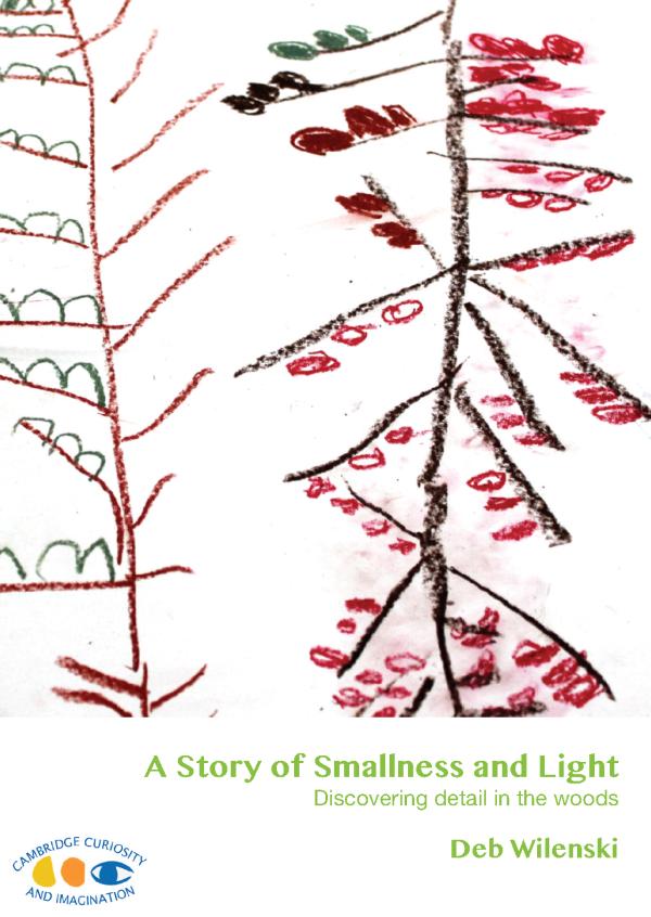 A Story of Smallness and Light